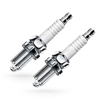 Spark plug